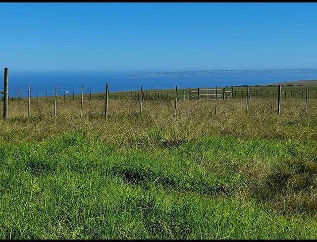 LAND FOR SALE IN GEORGE RURAL